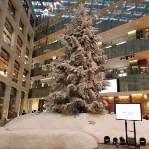 20161124_160856