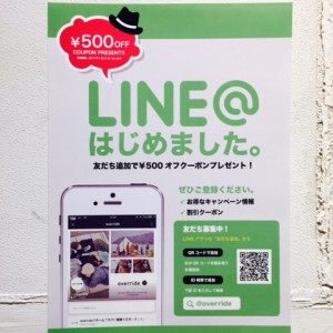 overrideline1