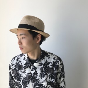 17ss13