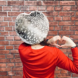 blog_171119_0434