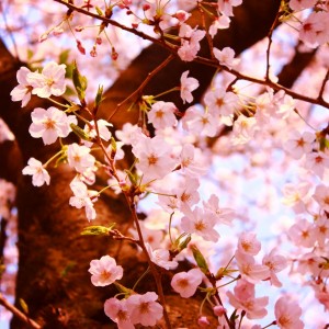 blog0404.10