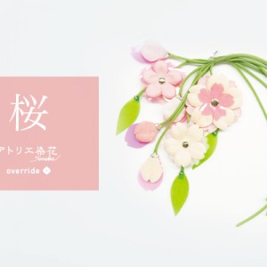 senka-eyecatch