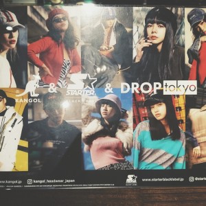 blog_override