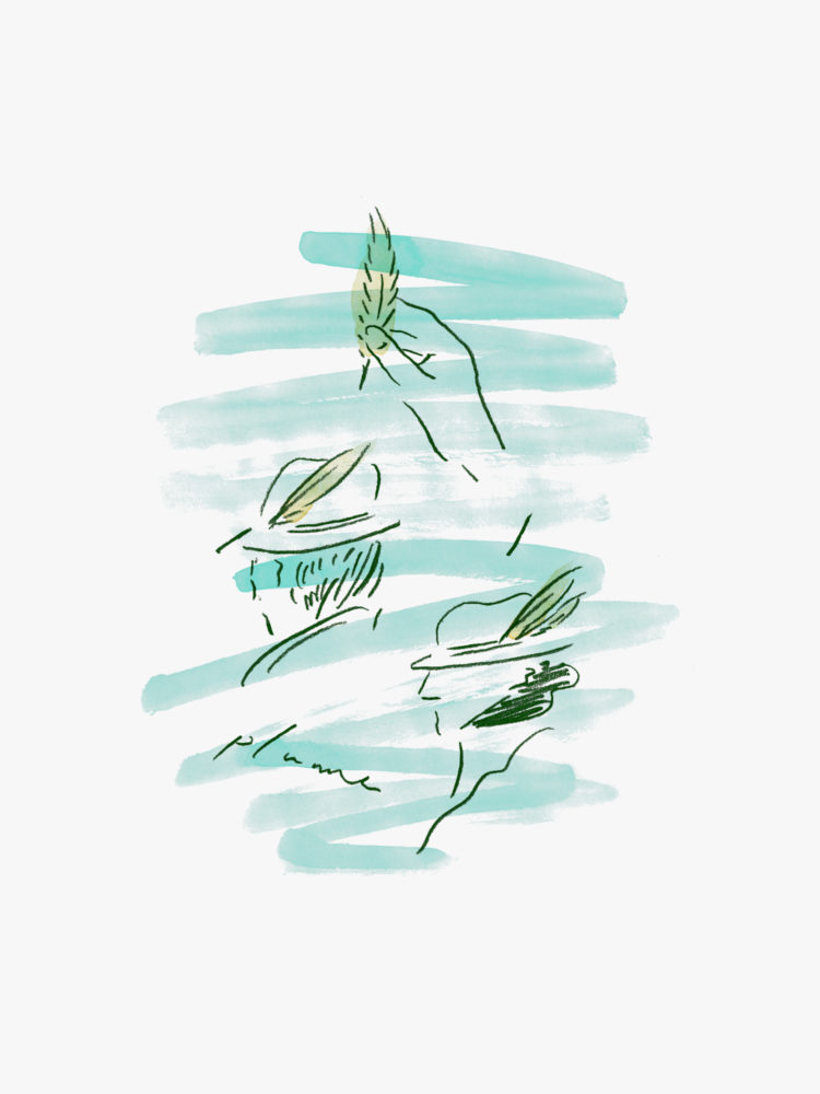 『帽子のオアオア物語』Vol.20 プリュームの話