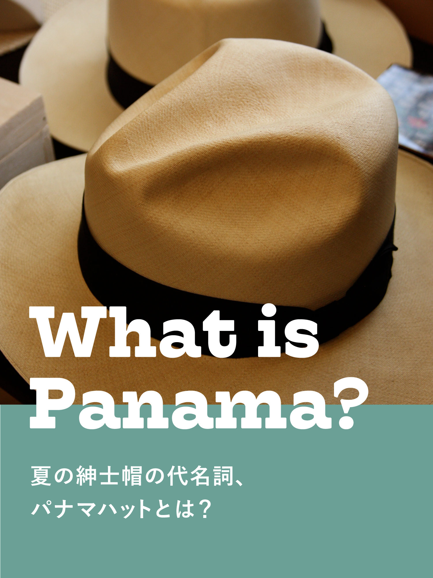 1230円 【大放出セール】 パナマ帽子
