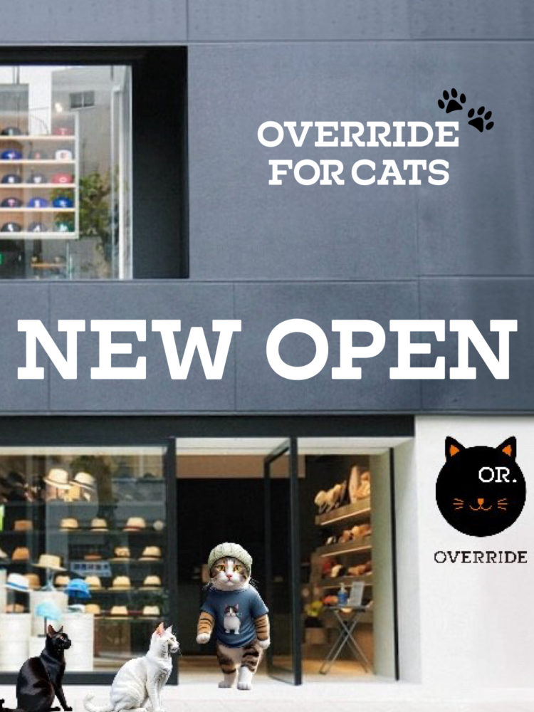 猫専用帽子を扱う新業態をオープン 「愛猫と通じ合える猫耳ニット帽」の発売も